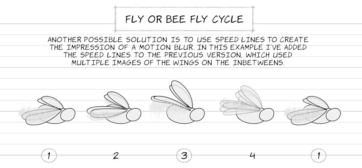 Flying Creatures Animation Cycle