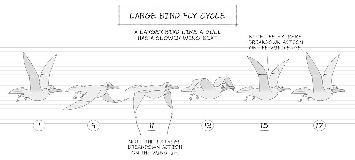 large bird fly cycle