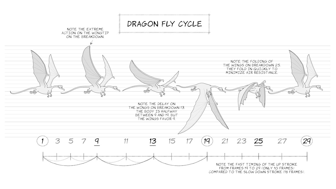 dragon fly cycle